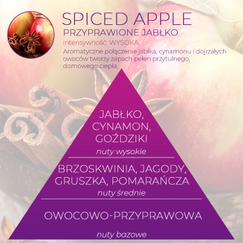 <B>SPICED APPLE</B> SLANT wkładka zapachowa do pisuaru
